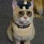 cat police