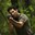 Shane Walsh