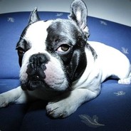 老子一枪打掉**内裤