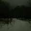 sleepwalker