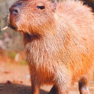 Будэйко Валентин