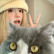 再见已是每日大赛