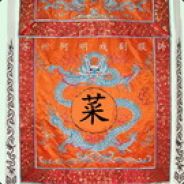 菜鸟图开心[F_F]