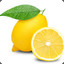 Limonluleblebi