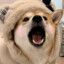 兰台