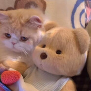 我的脑袋可不是面团捏的