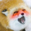 oranck