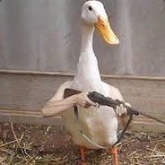 DuckFace [HUN]
