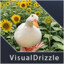 VisualDrizzle