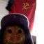 Soviet Spetsnaz Cat Blyat