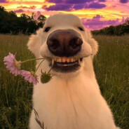 Damsi