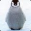 Gladde Pinguin