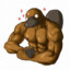 Buff_platypus