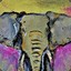 elephantsailor