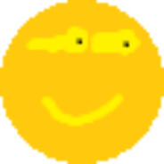 不善语文，不能名也