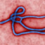 EBOLA