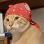bunana cat