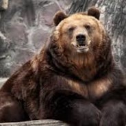 Hex: Obesitus Holidae