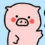 Mr.pig