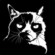 Mr.Kitty - steam id 76561197968580773