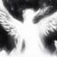 CALMFY's avatar