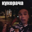 ПРИНГУЛИНГУС)♿