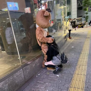 СерыйКотёнок