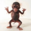 BumbisFunk