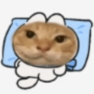 哈基米666