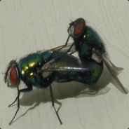 VeeKaChu-L7 - steam id 76561197960365698