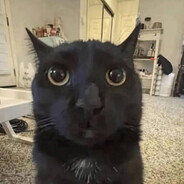 КМС ПО СЕКСУ