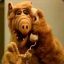 ALF