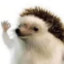 pluh