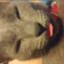 meow