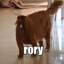 rory