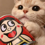 猫猫什么都知道