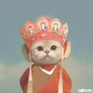 长者夸我水平高