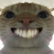meoWho? - steam id 76561198874777046