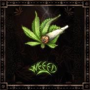 MotaRolla - steam id 76561197960864416