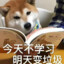 进击的青蛙