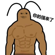 内向的人从不外设