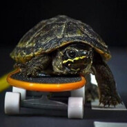 ᵐᵃʸᵒᵒᵛᵃ