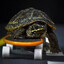 ᵐᵃʸᵒᵒᵛᵃ