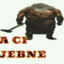 zajebalem tory