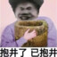 痛太痛了
