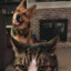 暴躁猪猪侠