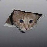 Gaz - steam id 76561197971076727
