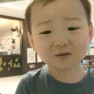 门前桥下的小鸭