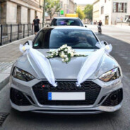 我是真的爱上你