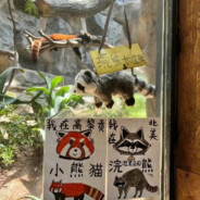 夏老师想睡觉（>-<）